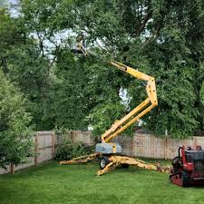  North Hudson, WI Tree Services Pros