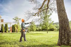 Best Tree Maintenance Programs  in North Hudson, WI