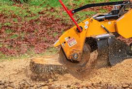 Best Tree Disease Treatment  in North Hudson, WI